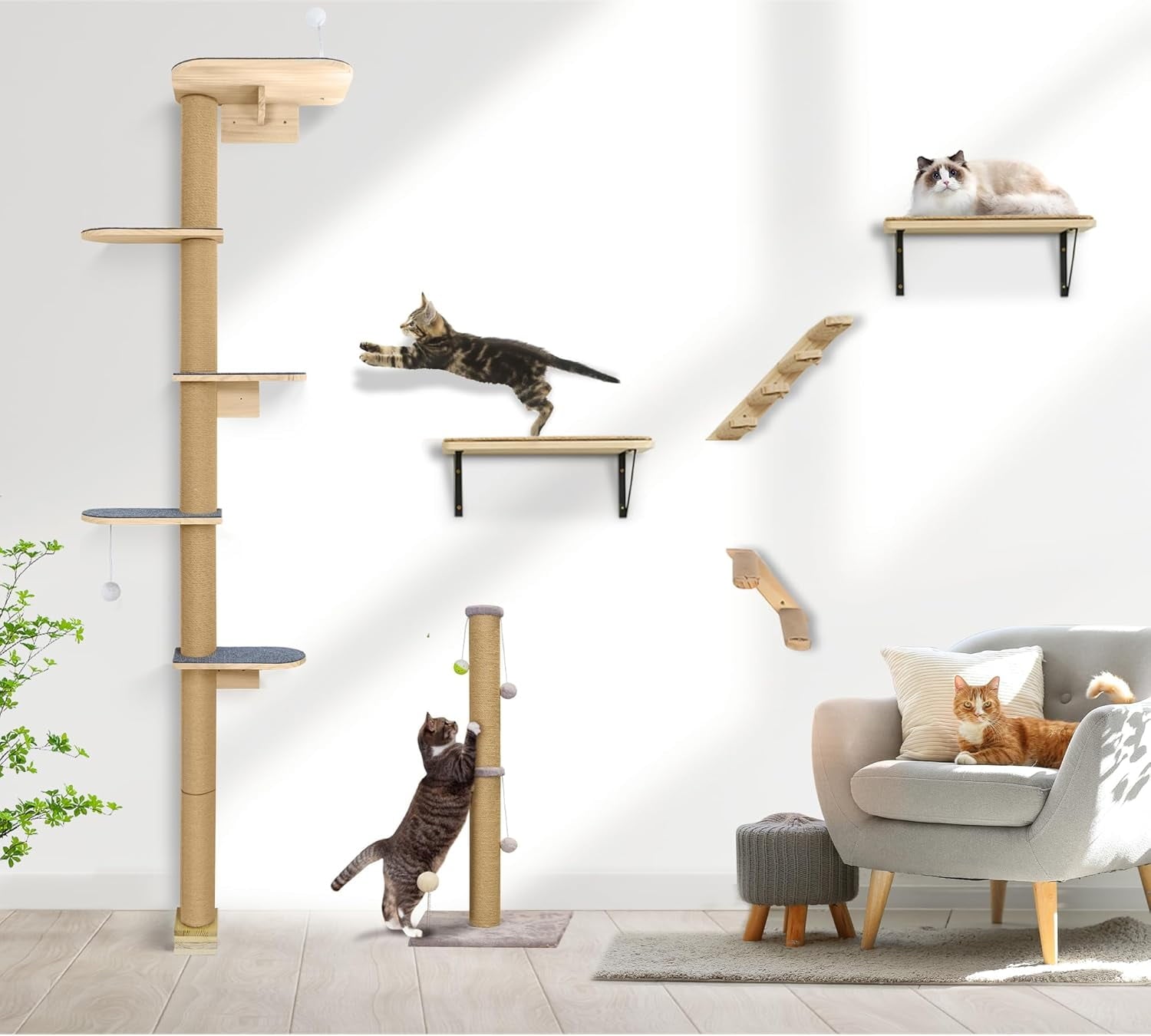 Peluomoz Adjustable Height Floor-to-Ceiling Kitten Cat Tree - Wall-Mounted 5-Tier Natural Pine Shelves with Grey Felt Pads