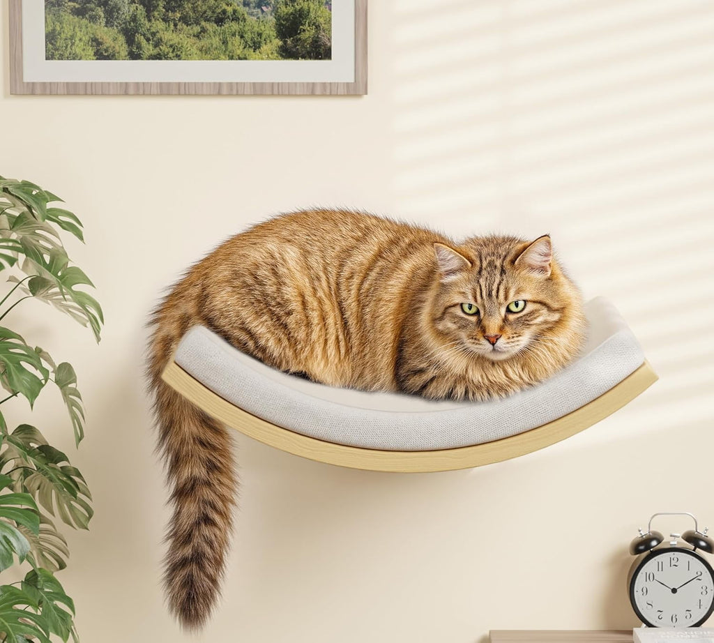 Peluomoz Cat Wall Set with Steps and Curved Foam Perch