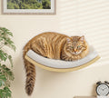 Peluomoz Cat Wall Set with Steps and Curved Foam Perch