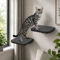 Peluomoz 2-Piece Cat Wall Steps, Wooden Wall Mounted Climbing Shelves with Scratching Mats