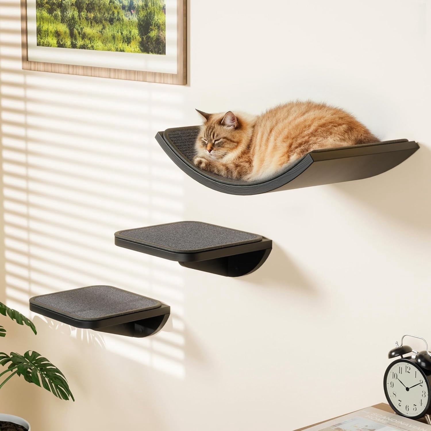 Peluomoz Wall-Mounted Wooden Cat Climbing Set - 2 Steps + Curved Platform with Scratching Mat (Feline Activity Furniture)