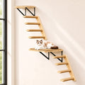 PELUOMOZ Wall Mount Cat Shelf Set, Four-Step Climber Stairs, 2-Pack