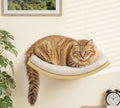 Curved Cat Wall Shelves with Sponge Mat, Wall Mounted Cats Sleeper Platform Shelf for Climb Play Nap, Wood Cat Shelf Perch Bed for Indoor