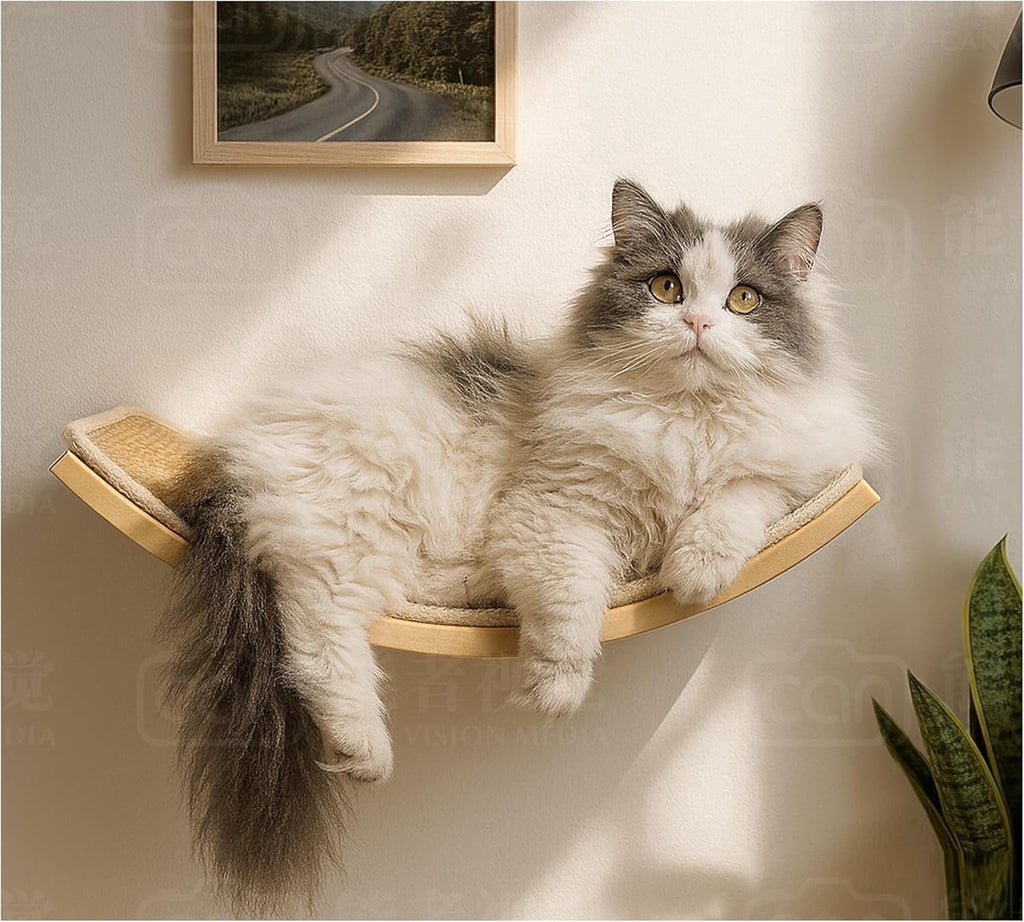 Peluomoz Curved Wood Cat Wall Perch - Wall-Mounted Floating Indoor Platform with Sisal Mat (Sleeper & Climb Shelf)