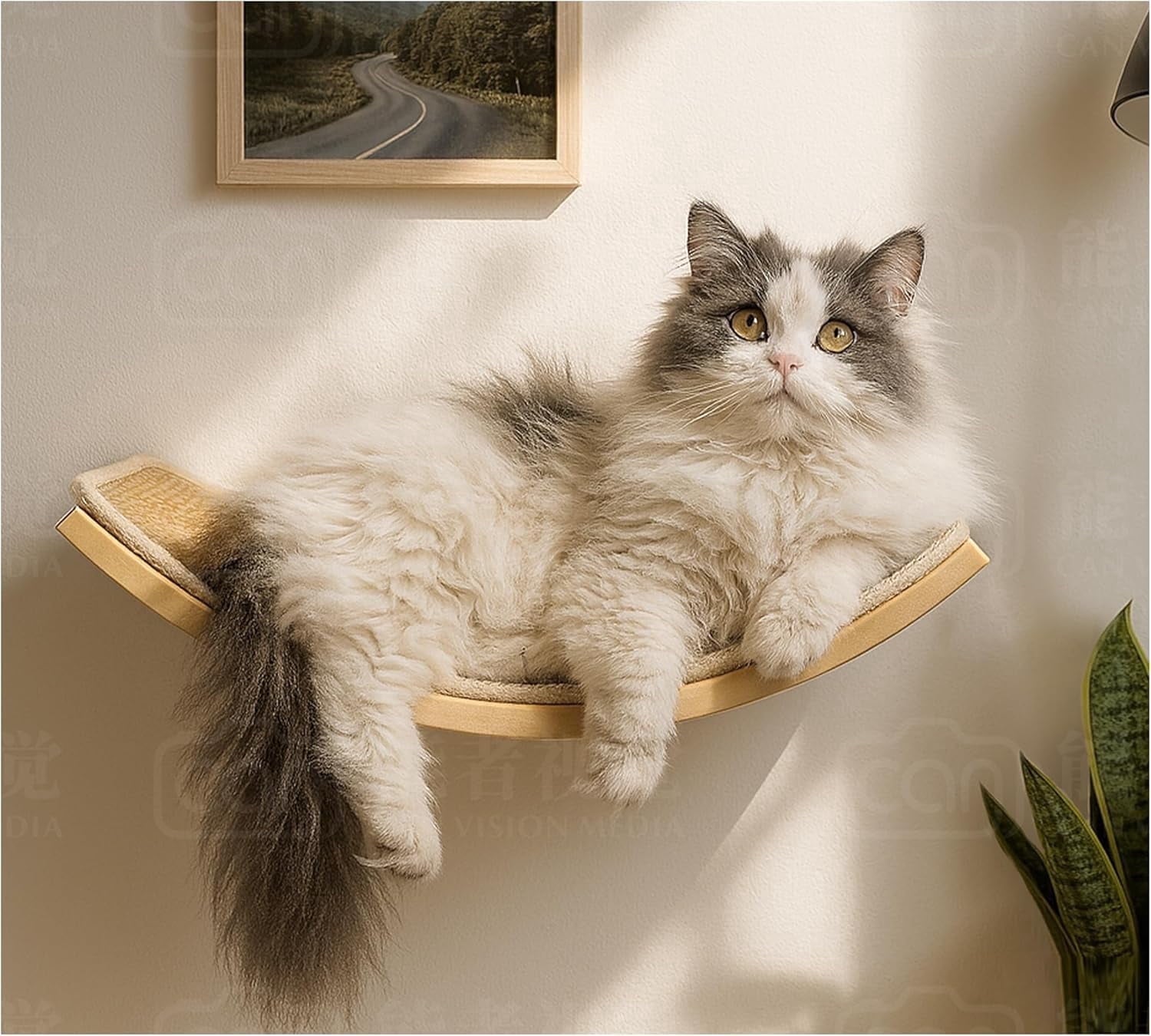 Peluomoz Curved Wood Cat Wall Perch - Wall-Mounted Floating Indoor Platform with Sisal Mat (Sleeper & Climb Shelf)