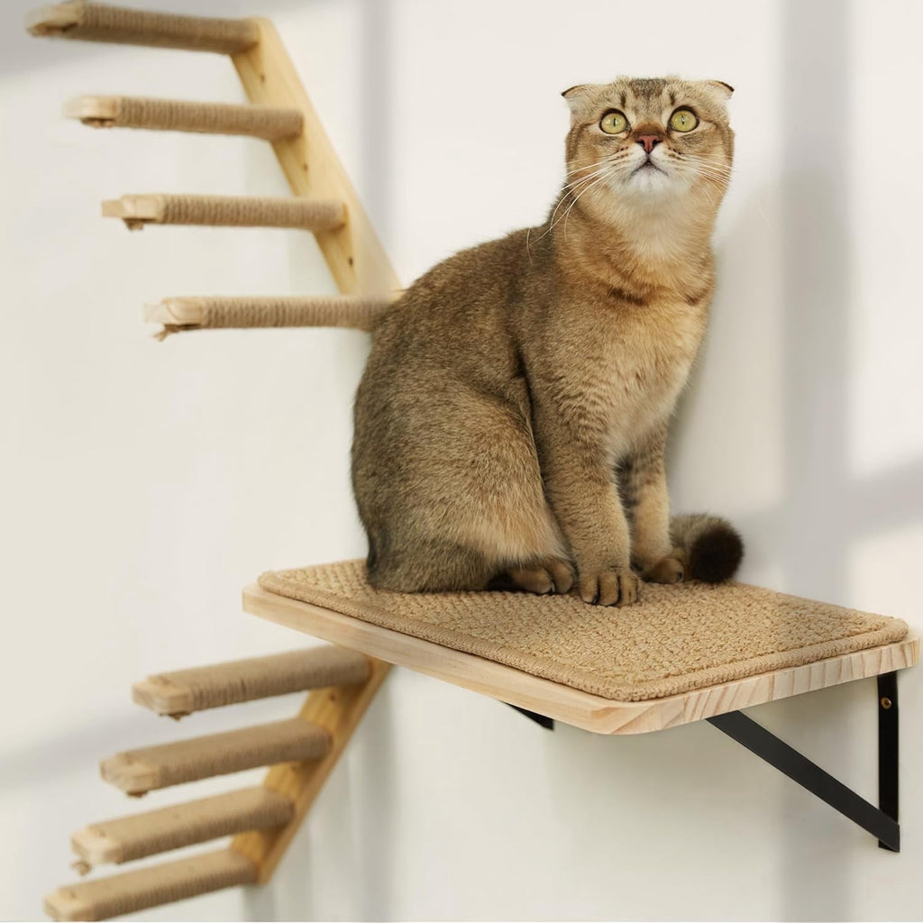 Peluomoz Cat Wall Set with Shelf and Stair Ladders
