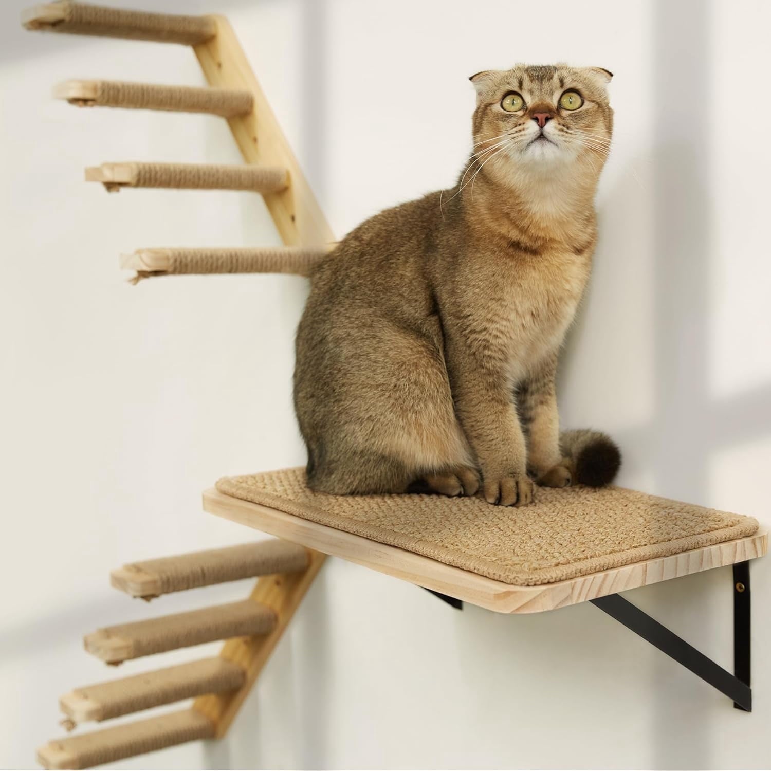 Peluomoz Cat Wall Set with Shelf and Stair Ladders
