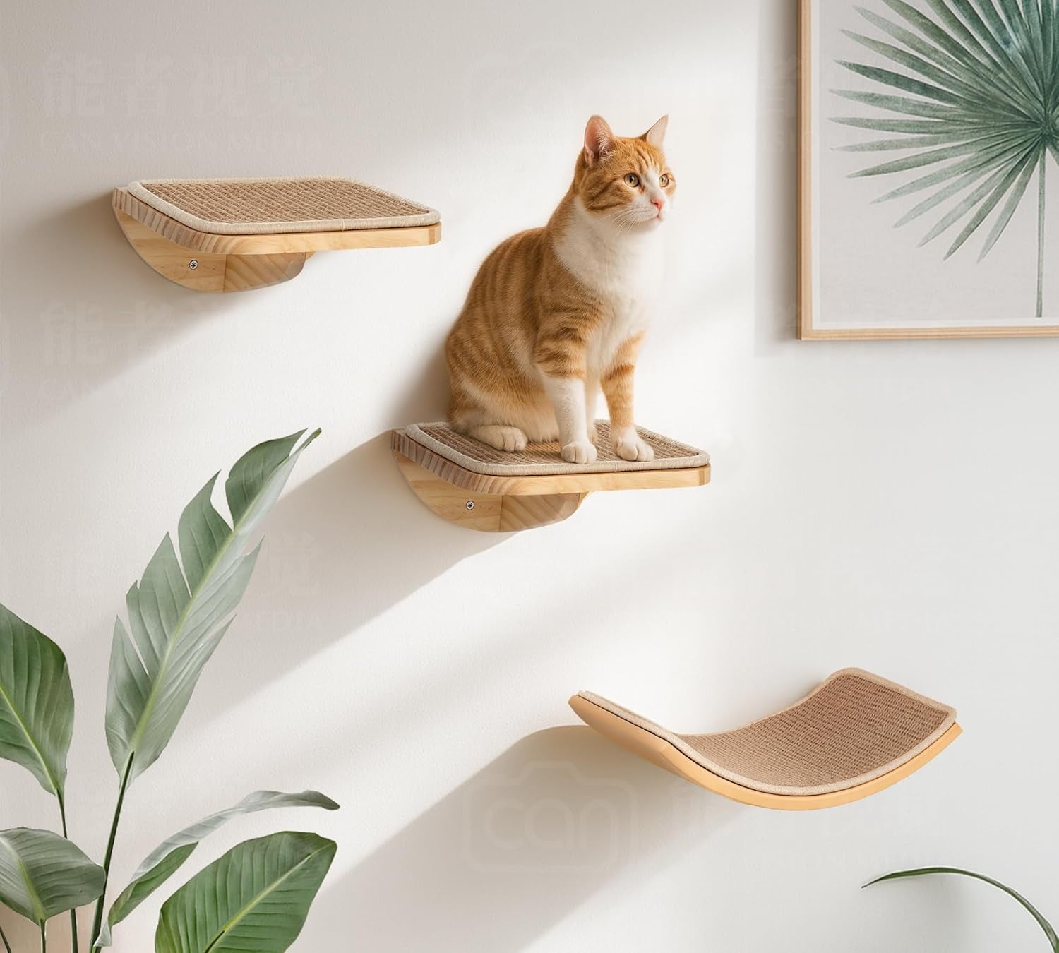 Peluomoz Curved Wood Cat Wall Perch - Wall-Mounted Floating Indoor Platform with Sisal Mat (Sleeper & Climb Shelf)