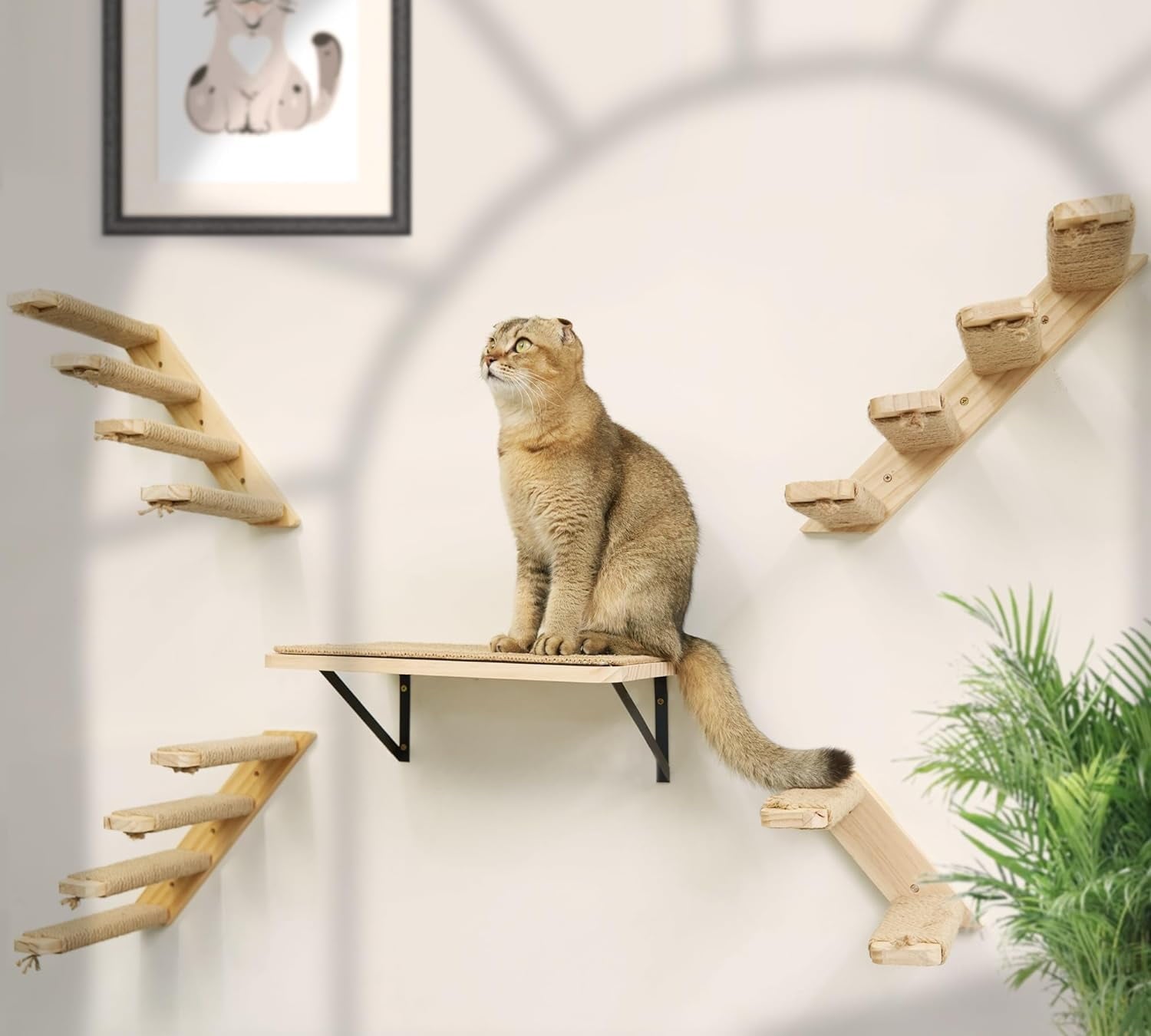 Peluomoz 2-Piece Cat Wall Shelf Set with Scratching Mat