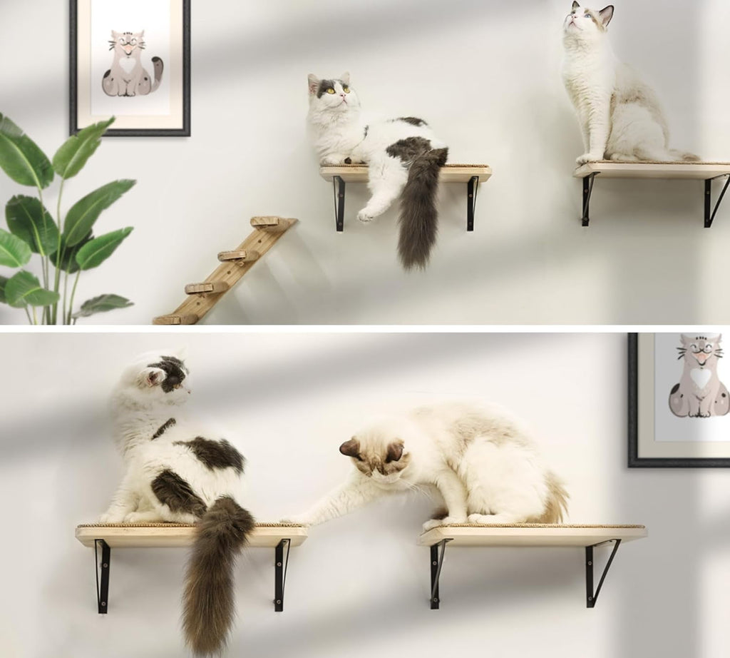Peluomoz 2-Piece Cat Wall Shelf Set with Scratching Mat