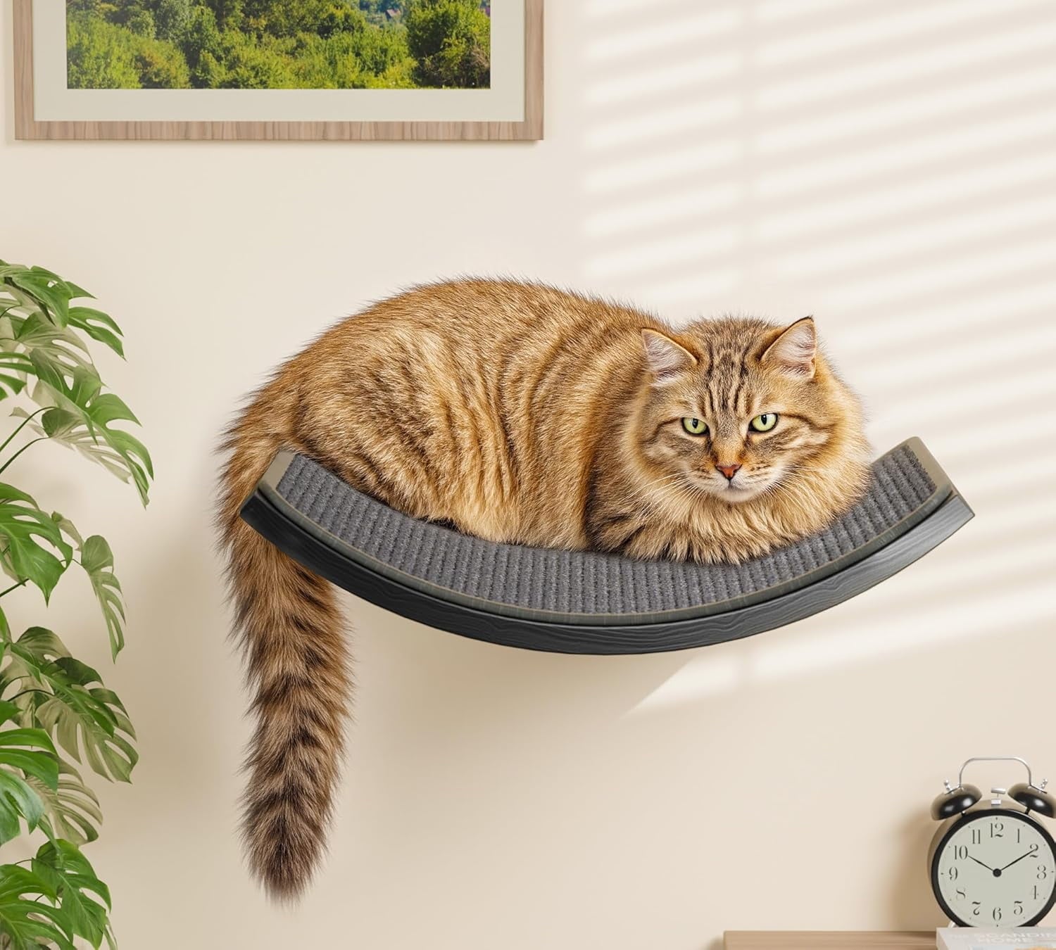 Peluomoz Wall-Mounted Wooden Cat Climbing Set - 2 Steps + Curved Platform with Scratching Mat (Feline Activity Furniture)