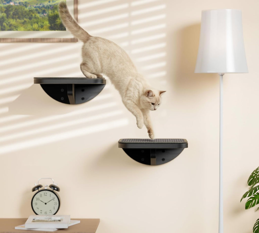 Peluomoz Wall-Mounted Wooden Cat Climbing Set - 2 Steps + Curved Platform with Scratching Mat (Feline Activity Furniture)