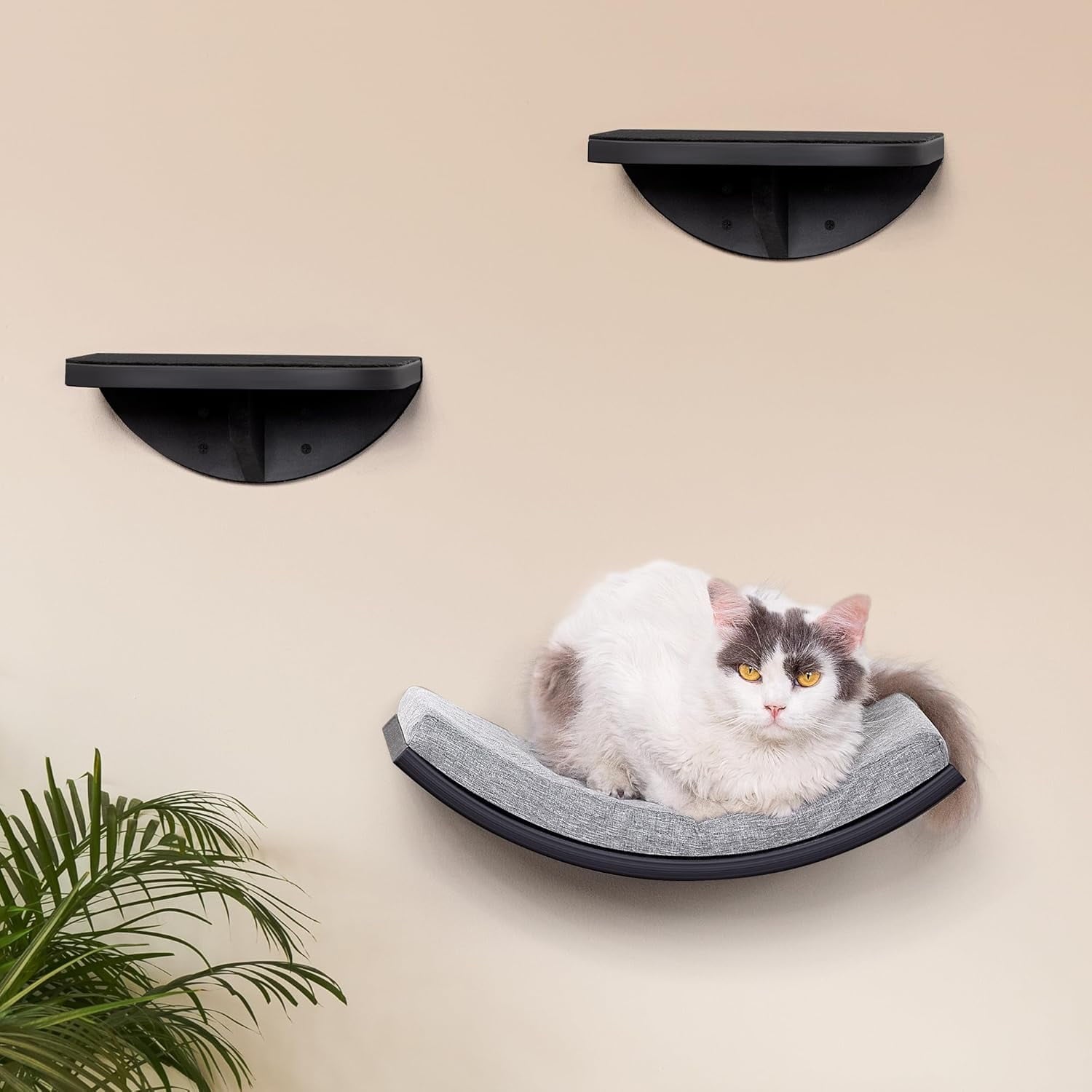 Peluomoz Curved Wooden Cat Wall Perch (Black & Gray) - Wall-Mounted Foam Mat Sleeper & Play Platform for Indoor Use