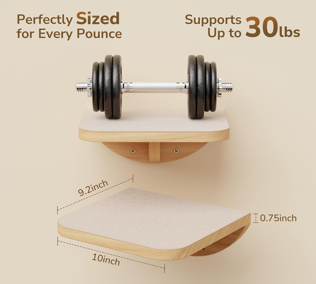 2PC Cat Stairs with Scratching Mat,Wall Mounted Cat Steps, Wooden Climbing Shelves for Cats, Cats Stairway Ladder Furniture for Perch Platform Supplies