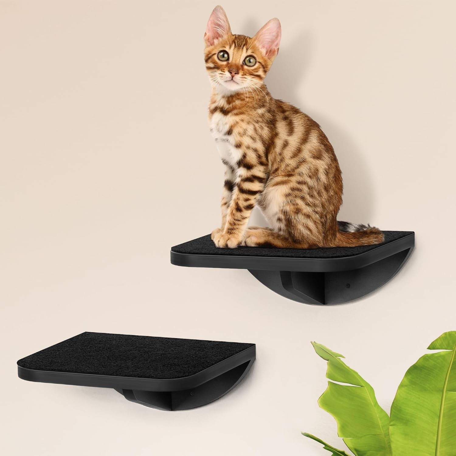 Peluomoz 2PC Wooden Wall-Mounted Cat Stairs - Scratching Mat Climbing Steps & Perch Platform