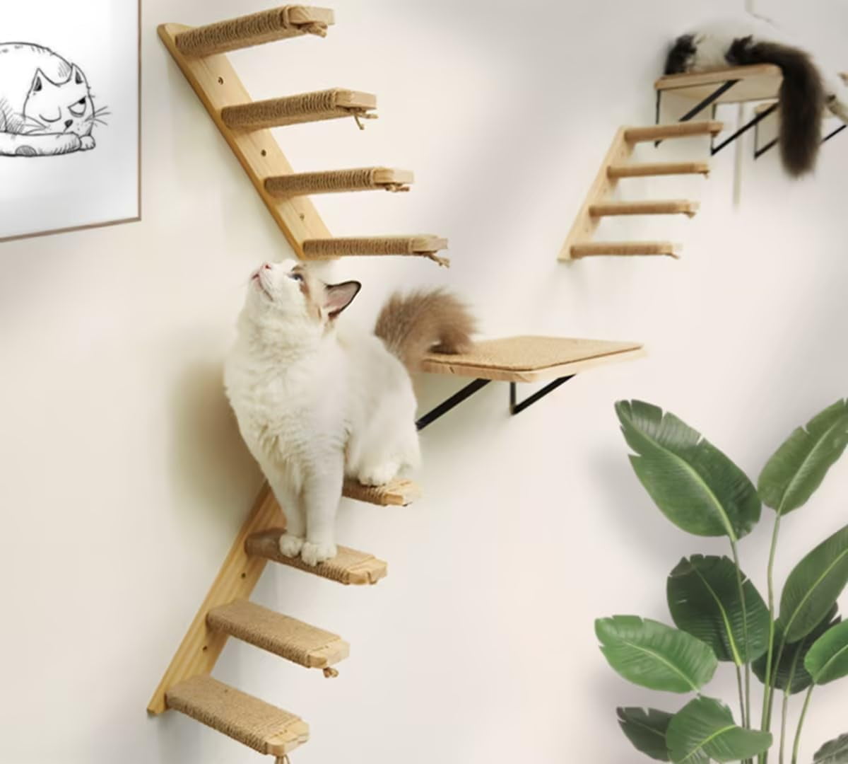 Peluomoz Cat Wall Set with Shelf and Stair Ladders